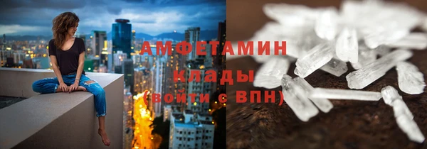 прущие грибы Киренск