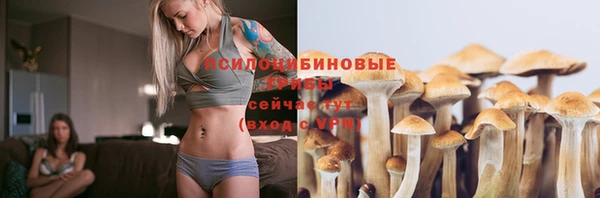 MESCALINE Кинешма