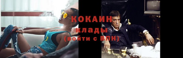 прущие грибы Киренск