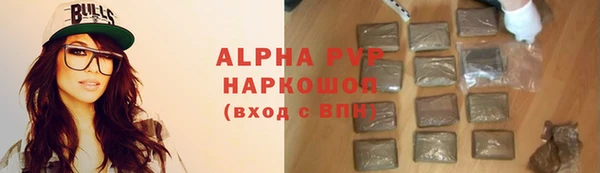 прущие грибы Киренск