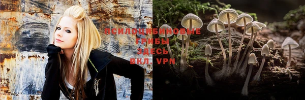 прущие грибы Киренск