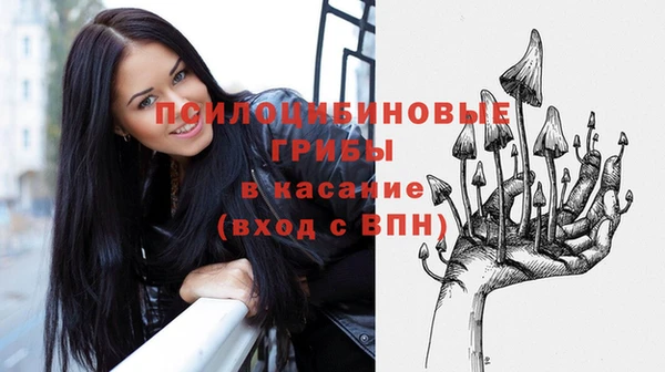 MESCALINE Кинешма