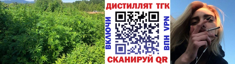 даркнет наркотические препараты Трубчевск Дистиллят ТГК концентрат