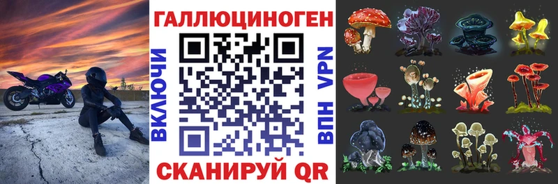 Галлюциногенные грибы Cubensis  закладки  Трубчевск 
